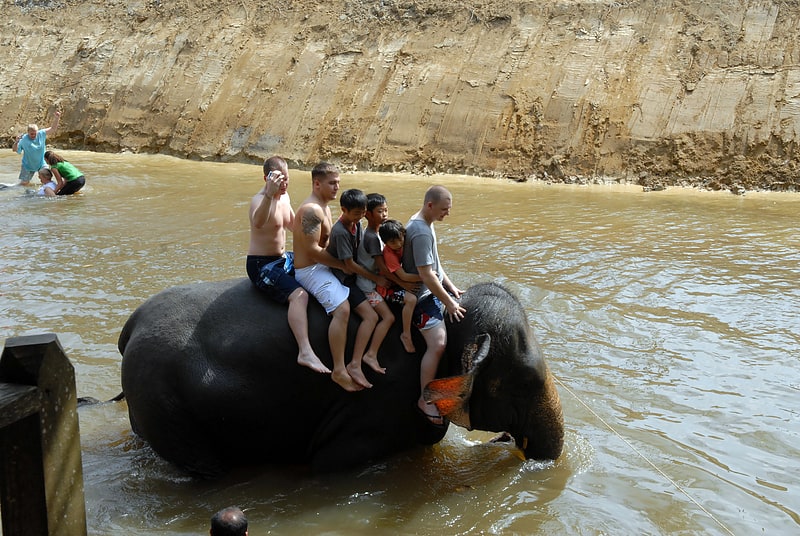 https://mdw-travel-data-us-east-1.s3.amazonaws.com/img/country/Malaysia/Kuala-Krau-Wildlife-Reserve/img_02.jpg