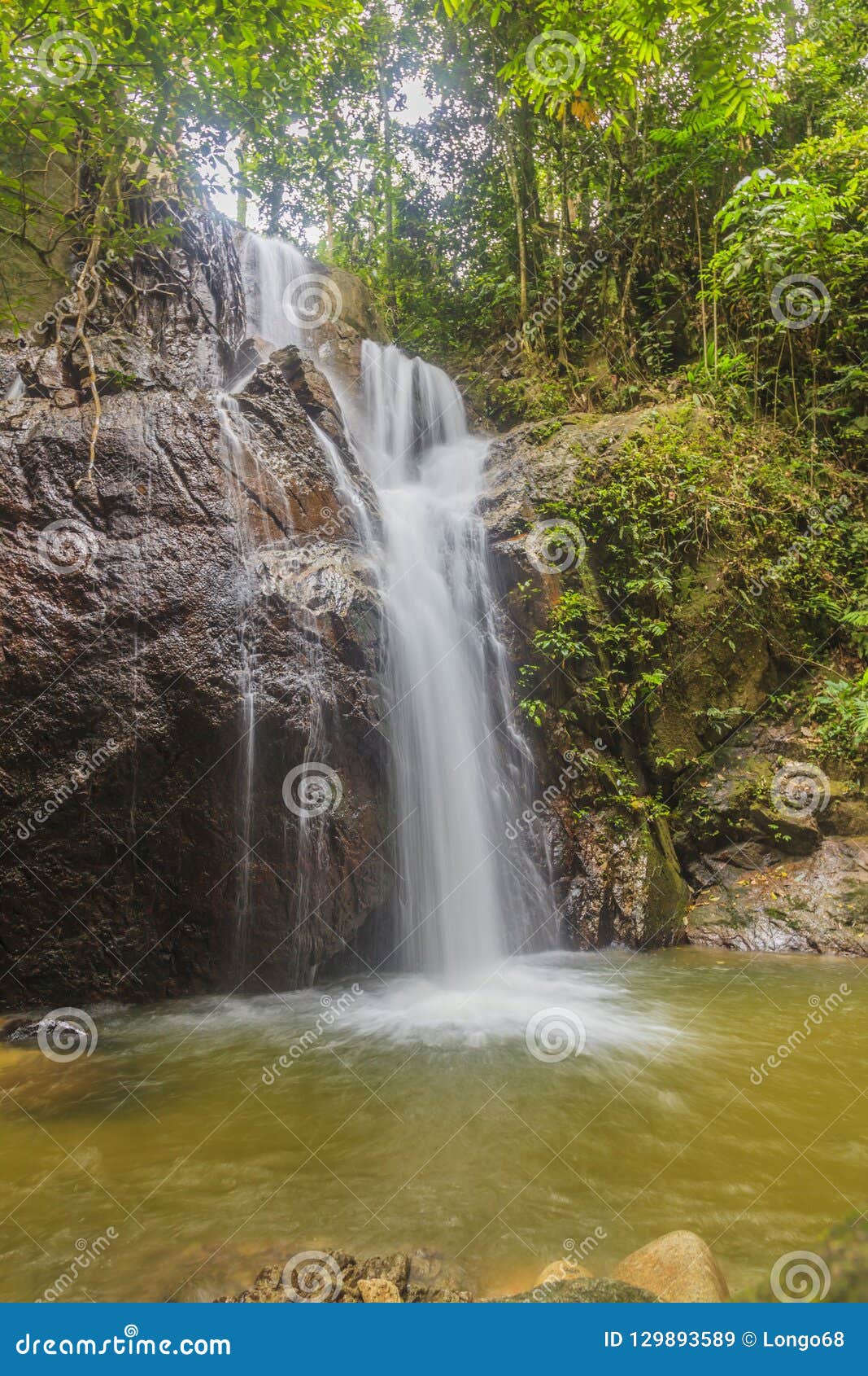 https://mdw-travel-data-us-east-1.s3.amazonaws.com/img/country/Malaysia/Kuala-Krau-Wildlife-Reserve/img_03.jpg