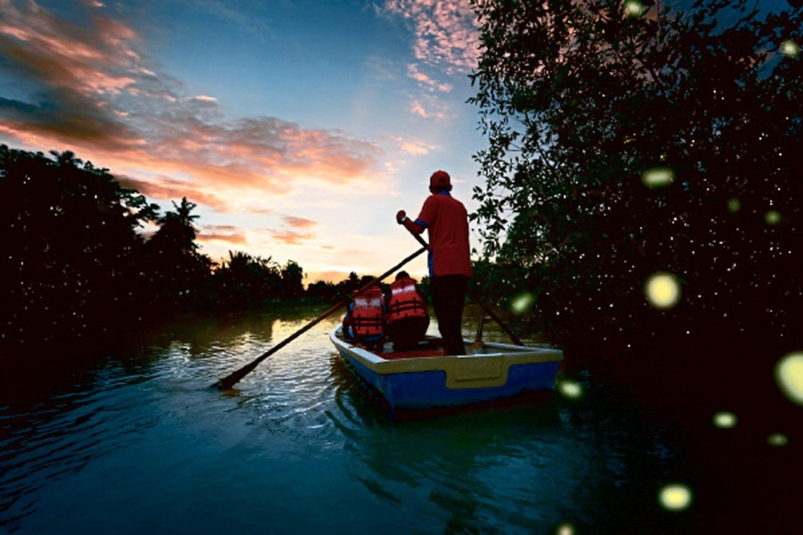 https://mdw-travel-data-us-east-1.s3.amazonaws.com/img/country/Malaysia/Kuala-Selangor-Fireflies/img_01.jpg