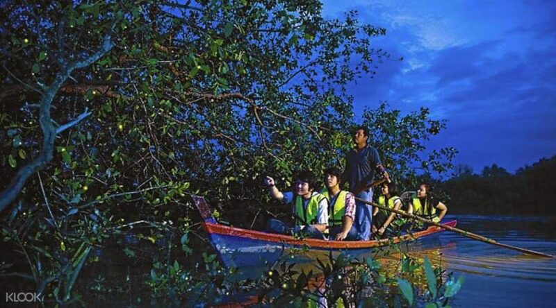 https://mdw-travel-data-us-east-1.s3.amazonaws.com/img/country/Malaysia/Kuala-Selangor-Fireflies/img_02.jpg