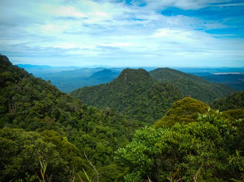 https://mdw-travel-data-us-east-1.s3.amazonaws.com/img/country/Malaysia/Kubah-National-Park/img_02.jpg
