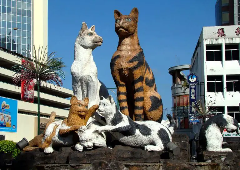 https://mdw-travel-data-us-east-1.s3.amazonaws.com/img/country/Malaysia/Kuching-Cat-Museum/img_03.jpg