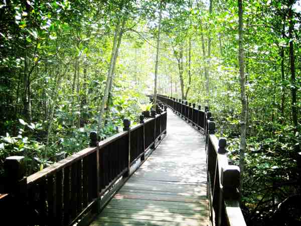 https://mdw-travel-data-us-east-1.s3.amazonaws.com/img/country/Malaysia/Kukup-Island/img_01.jpg