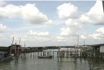 https://mdw-travel-data-us-east-1.s3.amazonaws.com/img/country/Malaysia/Kukup-Island/img_02.jpg
