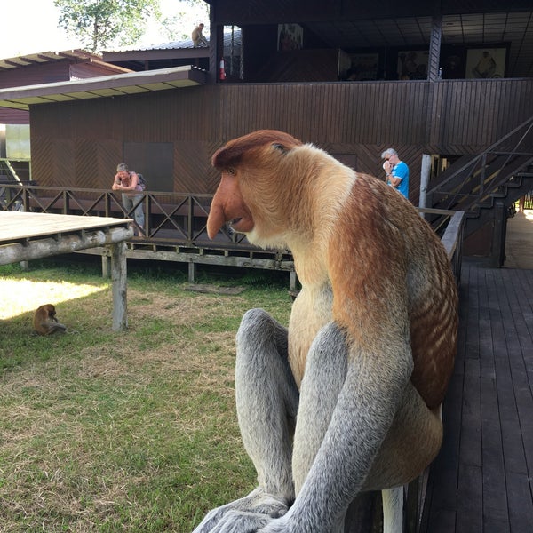 https://mdw-travel-data-us-east-1.s3.amazonaws.com/img/country/Malaysia/Labuk-Bay-Proboscis-Monkey-Sanctuary/img_02.jpg