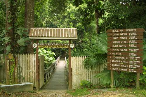 https://mdw-travel-data-us-east-1.s3.amazonaws.com/img/country/Malaysia/Lambir-Hills-National-Park/img_01.jpg