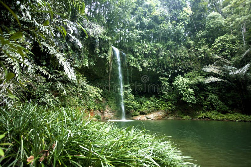 https://mdw-travel-data-us-east-1.s3.amazonaws.com/img/country/Malaysia/Lambir-Hills-National-Park/img_03.jpg