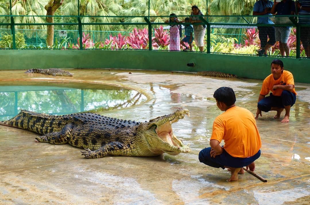 https://mdw-travel-data-us-east-1.s3.amazonaws.com/img/country/Malaysia/Langkawi-Crocodile-Farm/img_01.jpg