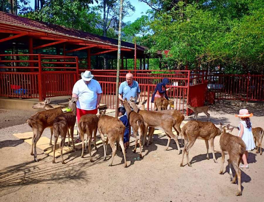 https://mdw-travel-data-us-east-1.s3.amazonaws.com/img/country/Malaysia/Langkawi-Wildlife-Park/img_03.jpg