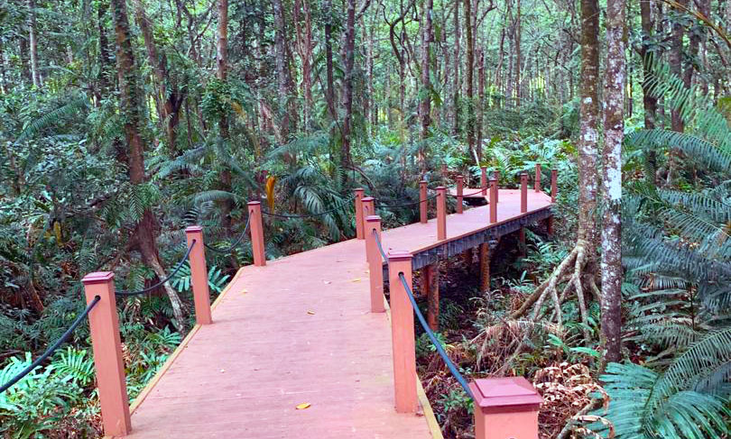 https://mdw-travel-data-us-east-1.s3.amazonaws.com/img/country/Malaysia/Matang-Mangrove-Forest-Reserve/img_00.jpg