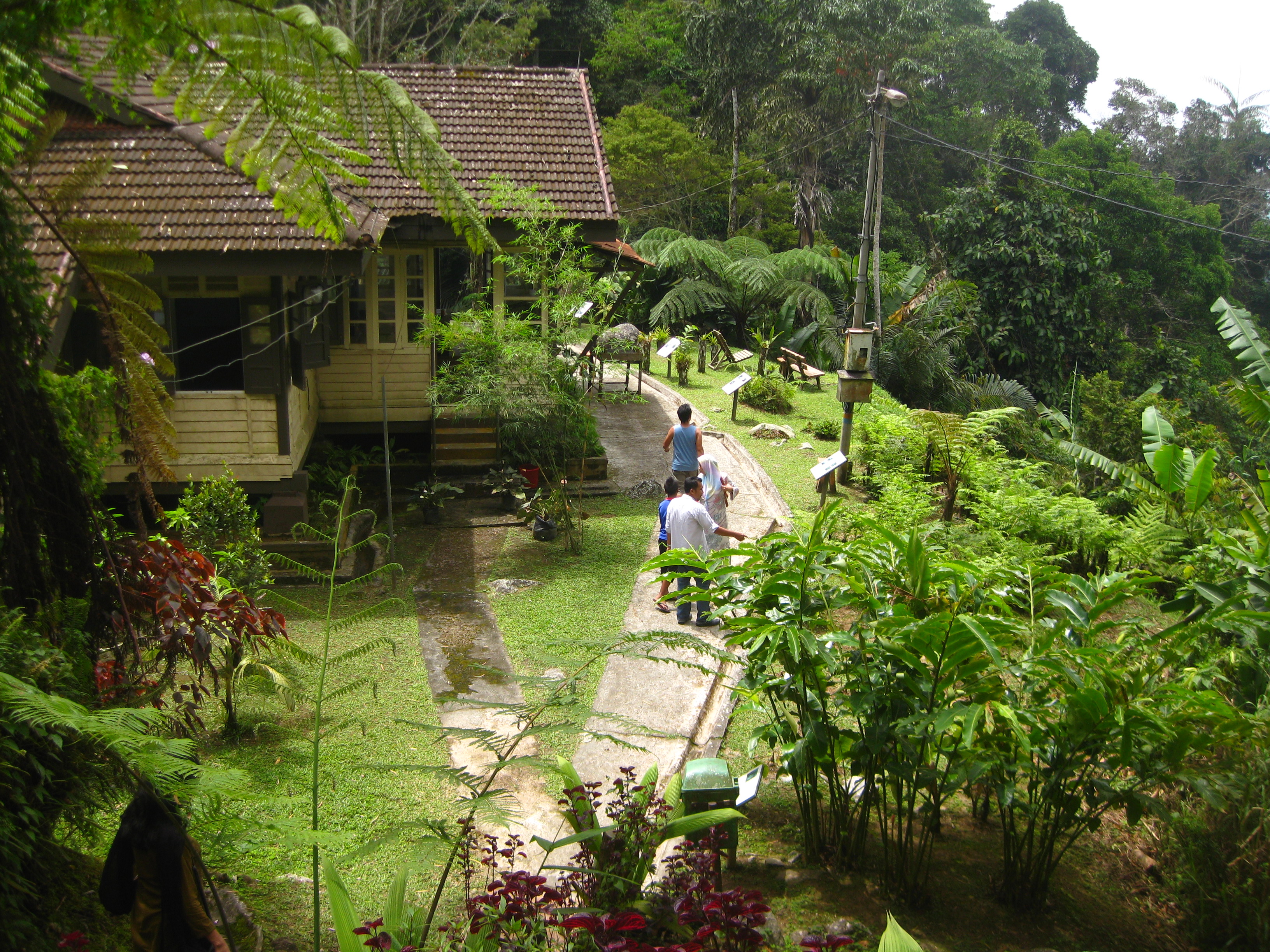 https://mdw-travel-data-us-east-1.s3.amazonaws.com/img/country/Malaysia/Maxwell-Hill--Bukit-Larut-/img_02.jpg