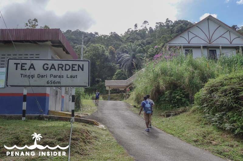 https://mdw-travel-data-us-east-1.s3.amazonaws.com/img/country/Malaysia/Maxwell-Hill--Bukit-Larut-/img_03.jpg