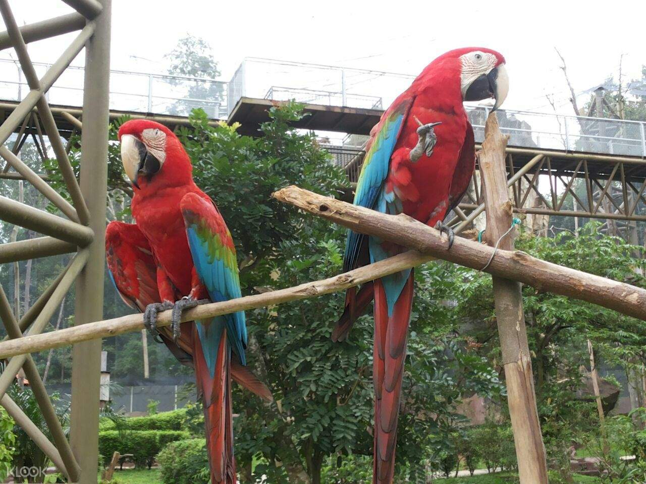 https://mdw-travel-data-us-east-1.s3.amazonaws.com/img/country/Malaysia/Melaka-Bird-Park/img_02.jpg