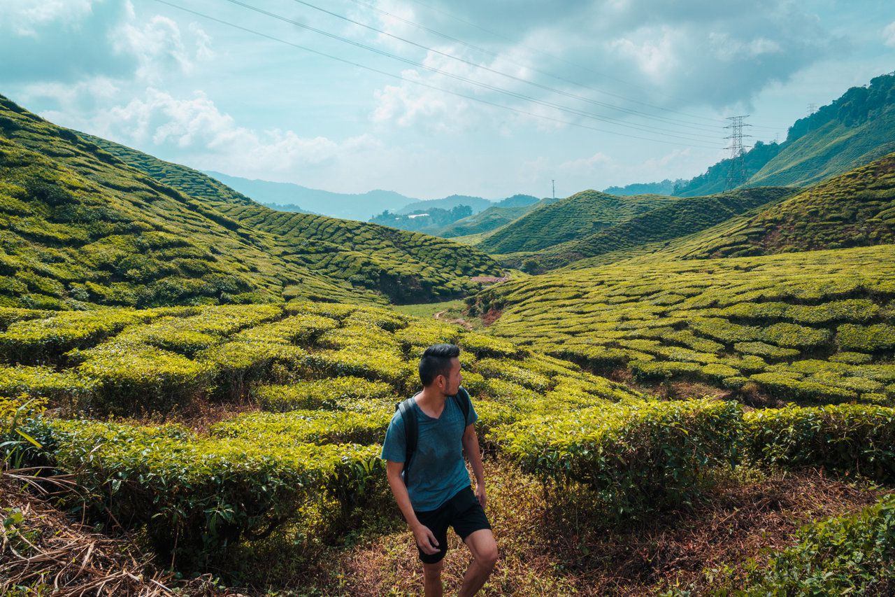 https://mdw-travel-data-us-east-1.s3.amazonaws.com/img/country/Malaysia/Mini-Cameron-Highlands/img_01.jpg