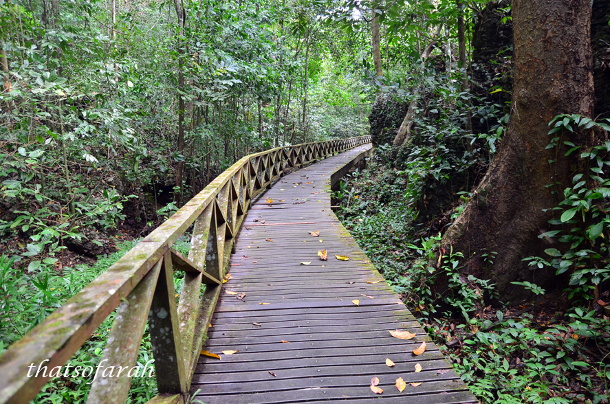 https://mdw-travel-data-us-east-1.s3.amazonaws.com/img/country/Malaysia/Niah-National-Park/img_03.jpg