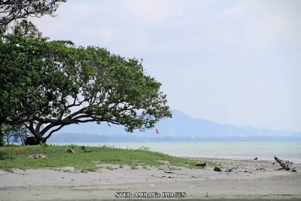 https://mdw-travel-data-us-east-1.s3.amazonaws.com/img/country/Malaysia/Pantai-Sepat/img_02.jpg