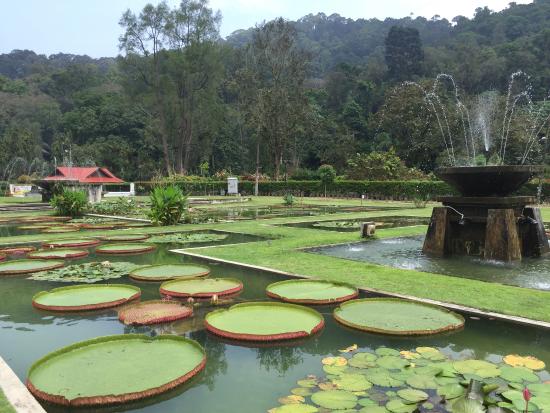 https://mdw-travel-data-us-east-1.s3.amazonaws.com/img/country/Malaysia/Penang-Botanic-Gardens/img_01.jpg