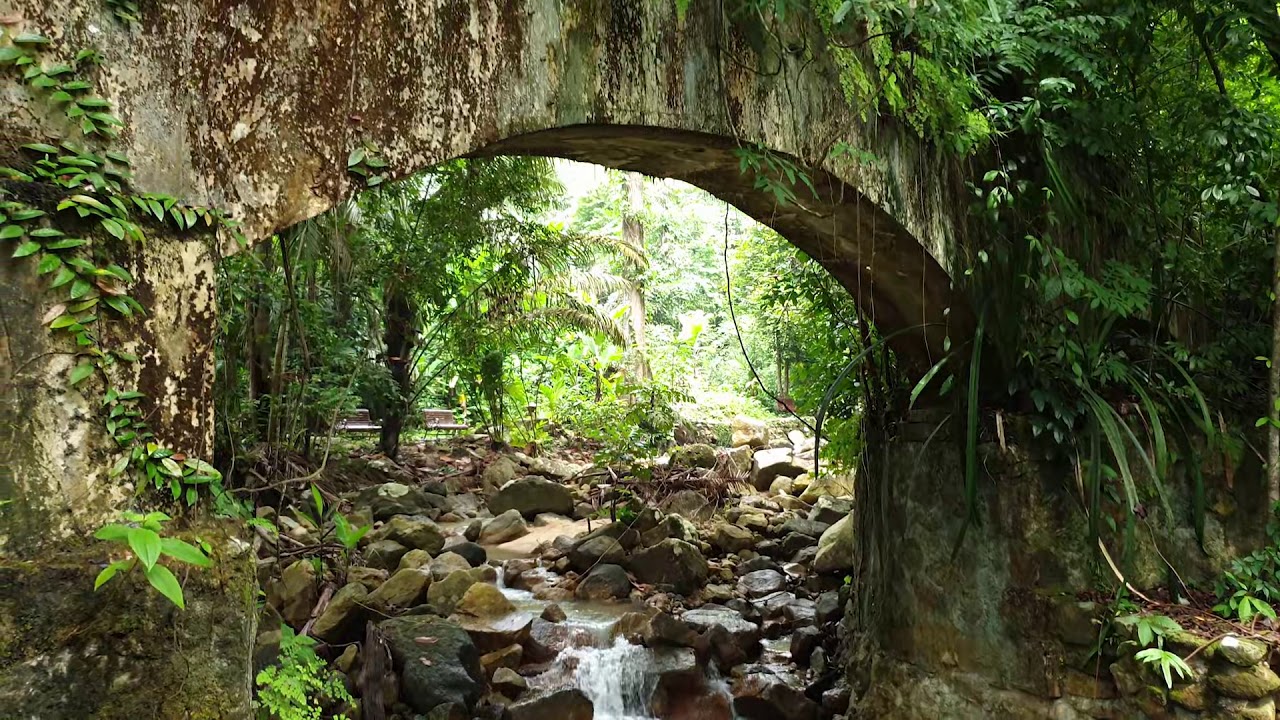 https://mdw-travel-data-us-east-1.s3.amazonaws.com/img/country/Malaysia/Penang-Botanic-Gardens/img_02.jpg