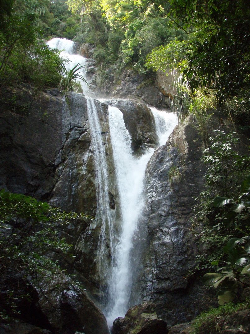 https://mdw-travel-data-us-east-1.s3.amazonaws.com/img/country/Malaysia/Penang-Botanic-Gardens/img_03.jpg