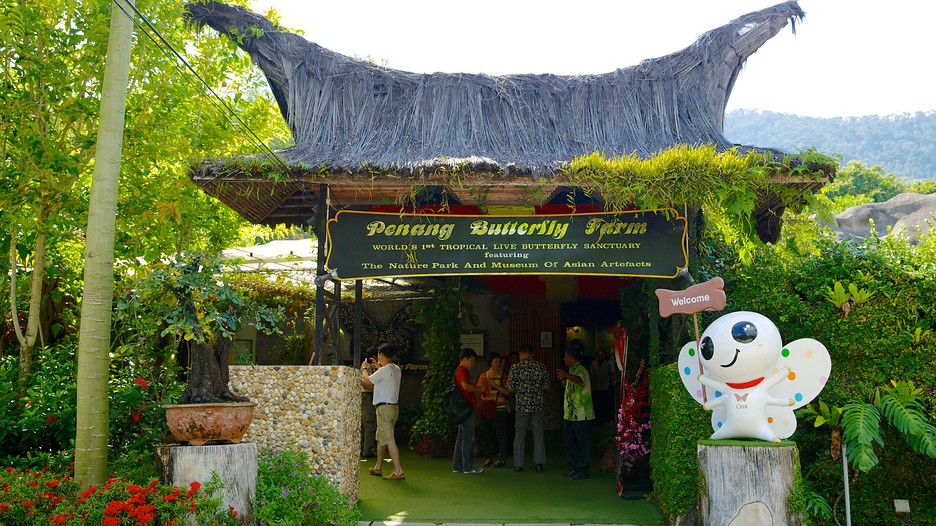 https://mdw-travel-data-us-east-1.s3.amazonaws.com/img/country/Malaysia/Penang-Butterfly-Farm/img_01.jpg