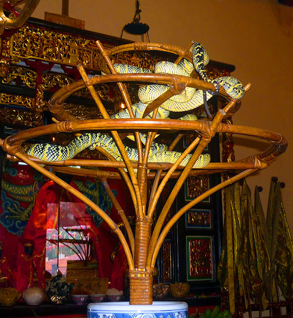 https://mdw-travel-data-us-east-1.s3.amazonaws.com/img/country/Malaysia/Penang-Snake-Temple/img_03.jpg
