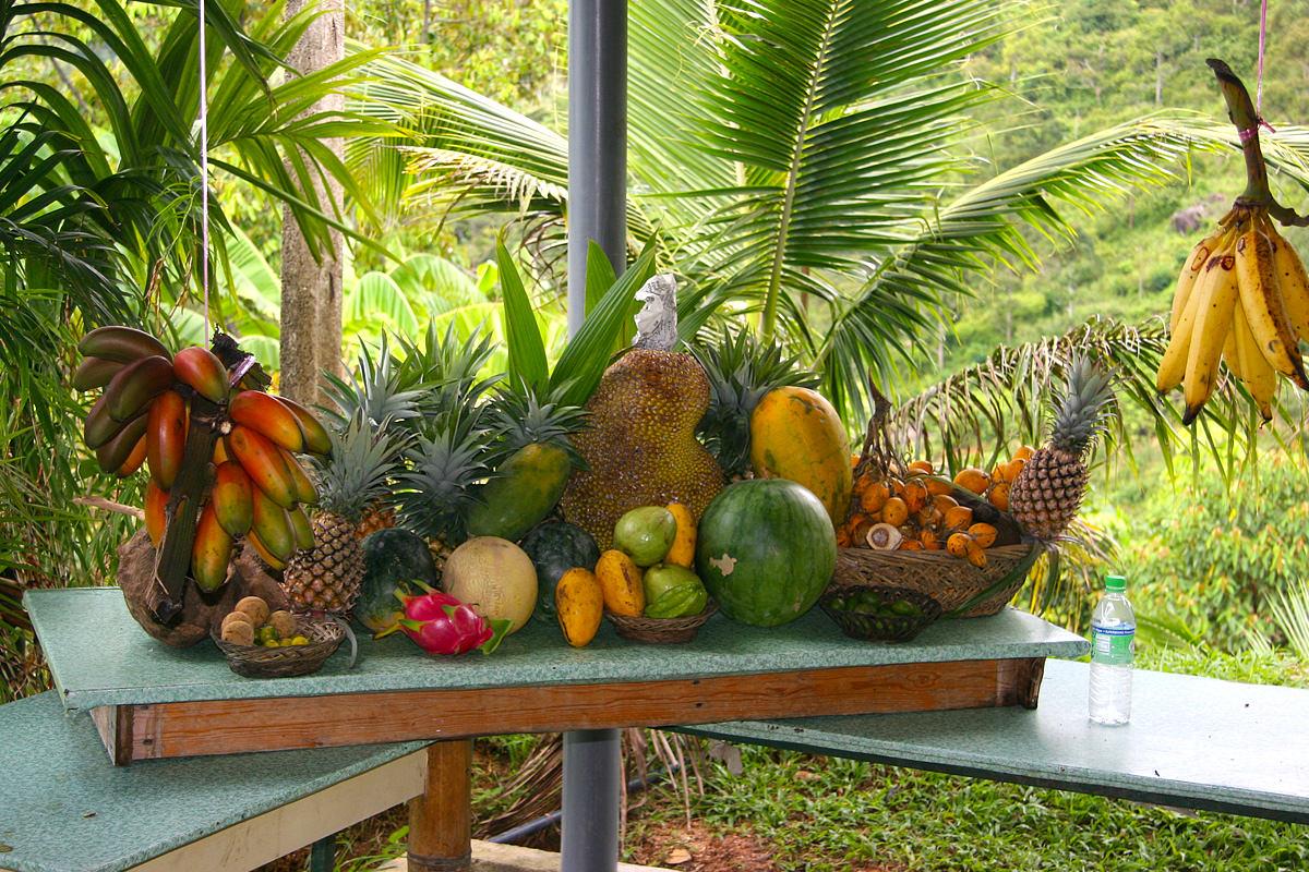 https://mdw-travel-data-us-east-1.s3.amazonaws.com/img/country/Malaysia/Penang-Tropical-Fruit-Farm/img_01.jpg