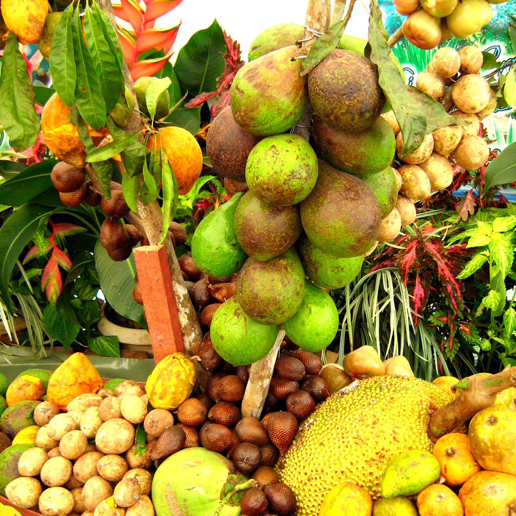 https://mdw-travel-data-us-east-1.s3.amazonaws.com/img/country/Malaysia/Penang-Tropical-Fruit-Farm/img_02.jpg