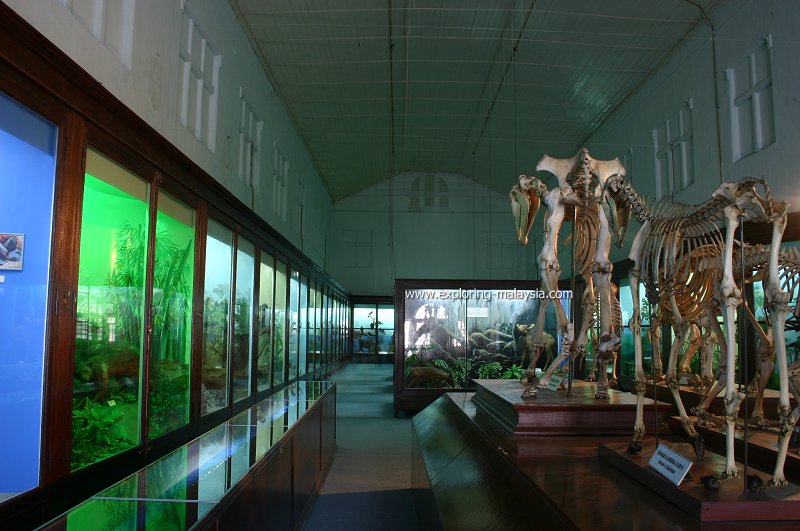 https://mdw-travel-data-us-east-1.s3.amazonaws.com/img/country/Malaysia/Perak-Museum/img_02.jpg