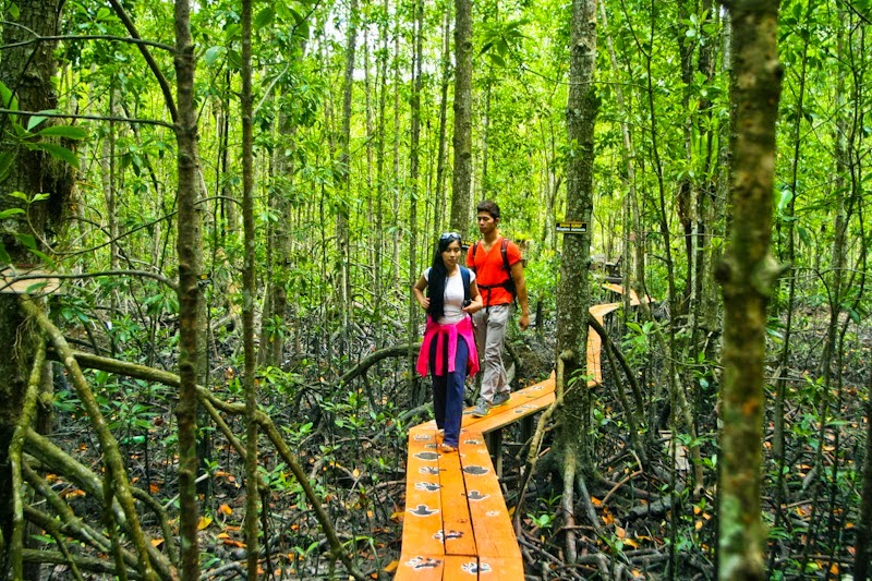 https://mdw-travel-data-us-east-1.s3.amazonaws.com/img/country/Malaysia/Pulau-Kukup-National-Park/img_02.jpg