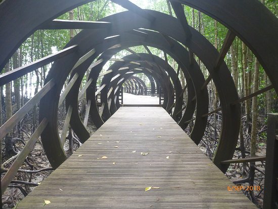 https://mdw-travel-data-us-east-1.s3.amazonaws.com/img/country/Malaysia/Pulau-Kukup-National-Park/img_04.jpg