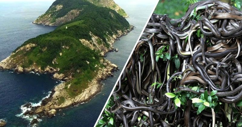 https://mdw-travel-data-us-east-1.s3.amazonaws.com/img/country/Malaysia/Pulau-Ular-Snake-Island/img_00.jpg