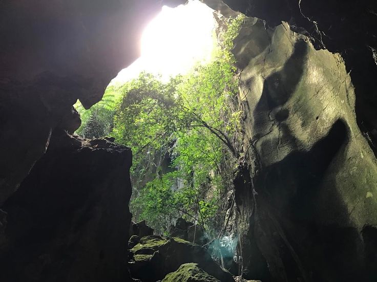 https://mdw-travel-data-us-east-1.s3.amazonaws.com/img/country/Malaysia/Python-Cave/img_00.jpg