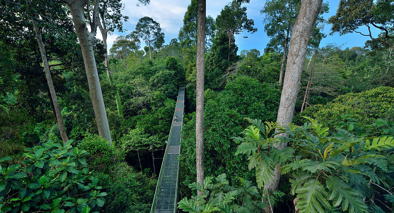 https://mdw-travel-data-us-east-1.s3.amazonaws.com/img/country/Malaysia/Rainforest-Discovery-Centre/img_00.jpg