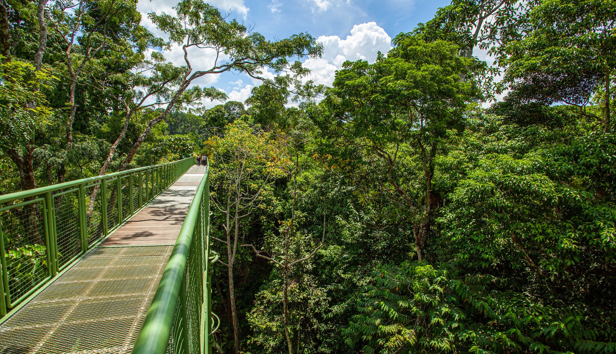 https://mdw-travel-data-us-east-1.s3.amazonaws.com/img/country/Malaysia/Rainforest-Discovery-Centre/img_01.jpg