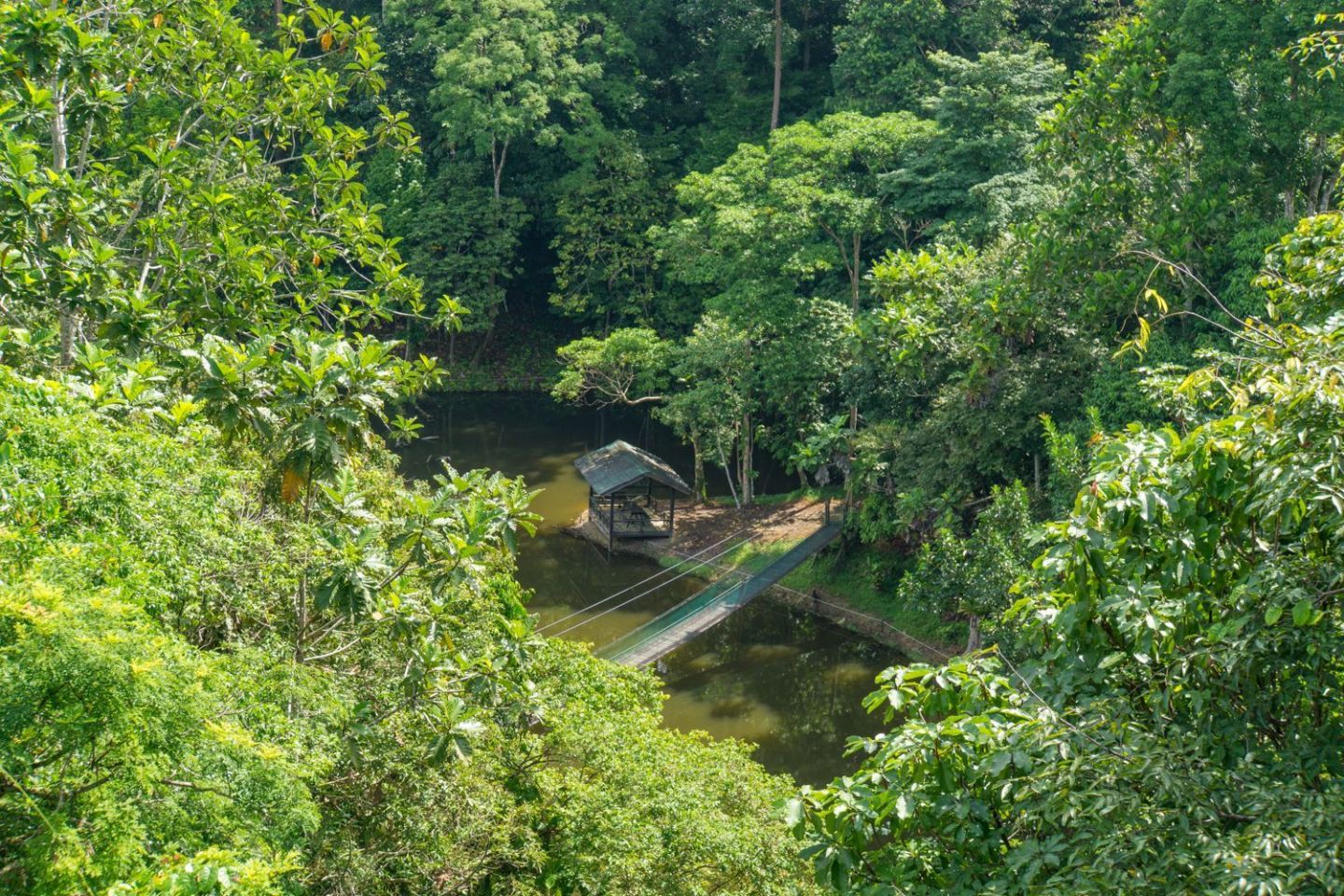 https://mdw-travel-data-us-east-1.s3.amazonaws.com/img/country/Malaysia/Rainforest-Discovery-Centre/img_03.jpg