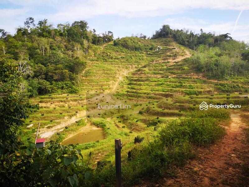 https://mdw-travel-data-us-east-1.s3.amazonaws.com/img/country/Malaysia/Raub/img_01.jpg