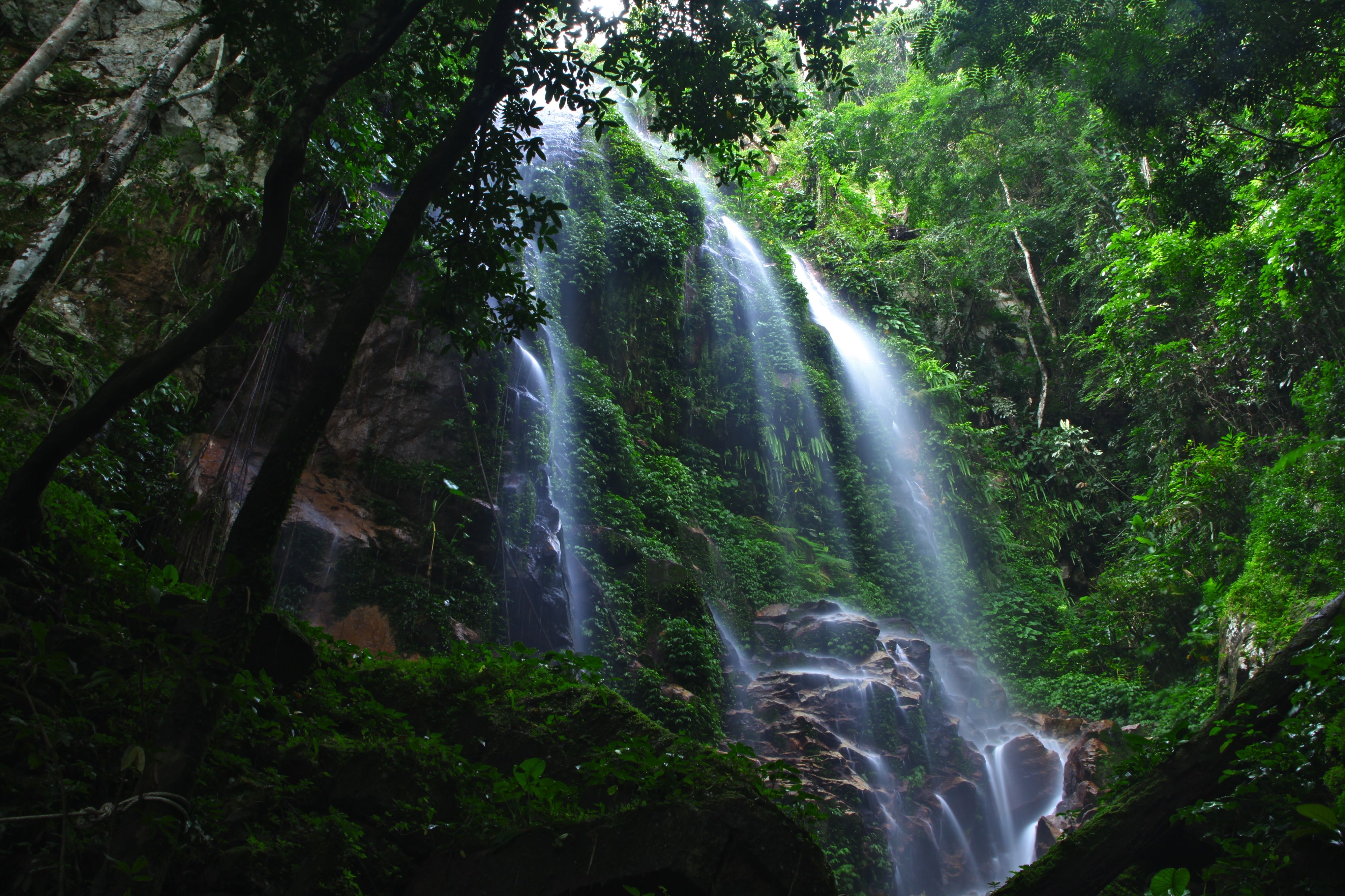 https://mdw-travel-data-us-east-1.s3.amazonaws.com/img/country/Malaysia/Royal-Belum-State-Park/img_02.jpg