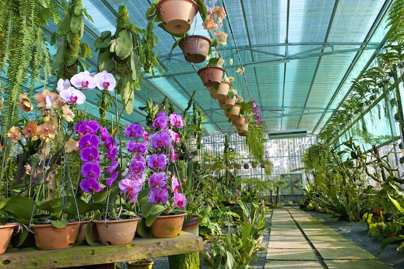 https://mdw-travel-data-us-east-1.s3.amazonaws.com/img/country/Malaysia/Sarawak-Orchid-Garden/img_02.jpg