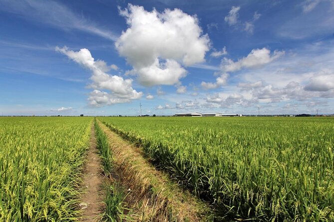 https://mdw-travel-data-us-east-1.s3.amazonaws.com/img/country/Malaysia/Sekinchan-Paddy-Fields/img_00.jpg