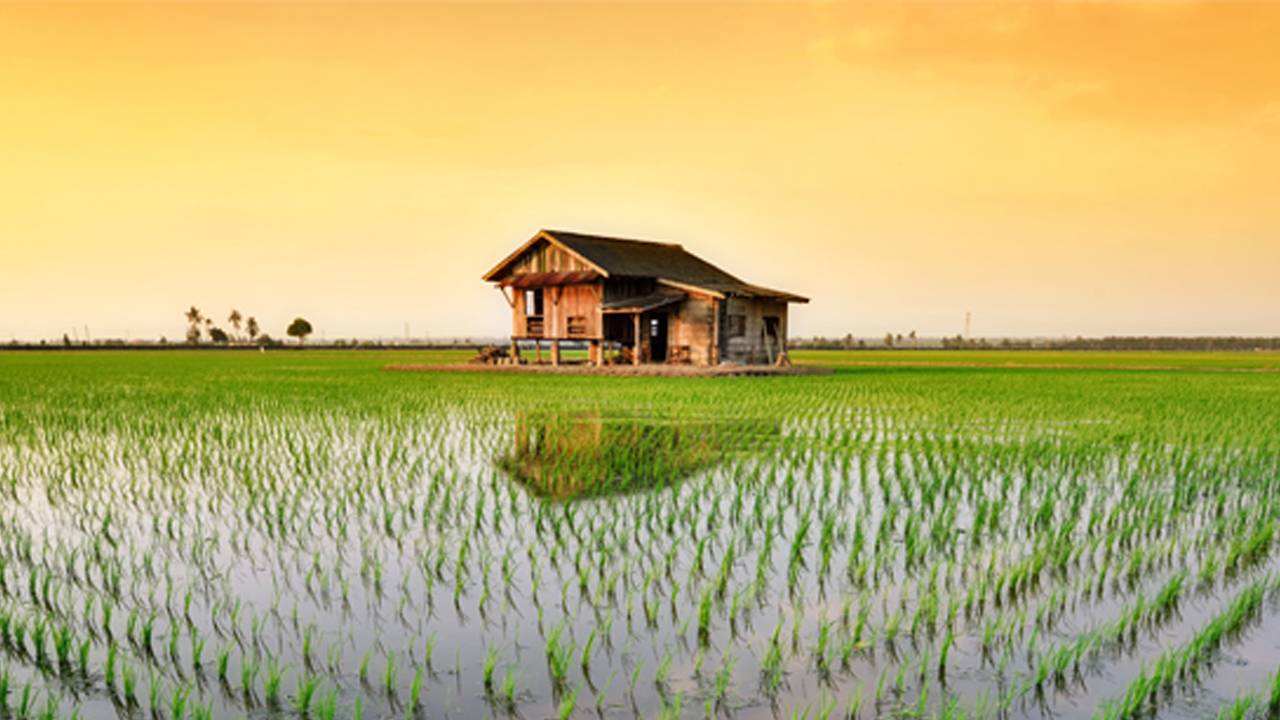 https://mdw-travel-data-us-east-1.s3.amazonaws.com/img/country/Malaysia/Sekinchan-Paddy-Fields/img_01.jpg