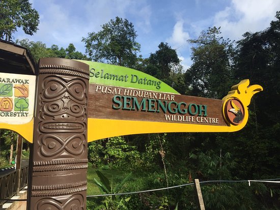 https://mdw-travel-data-us-east-1.s3.amazonaws.com/img/country/Malaysia/Semenggoh-Nature-Reserve/img_01.jpg