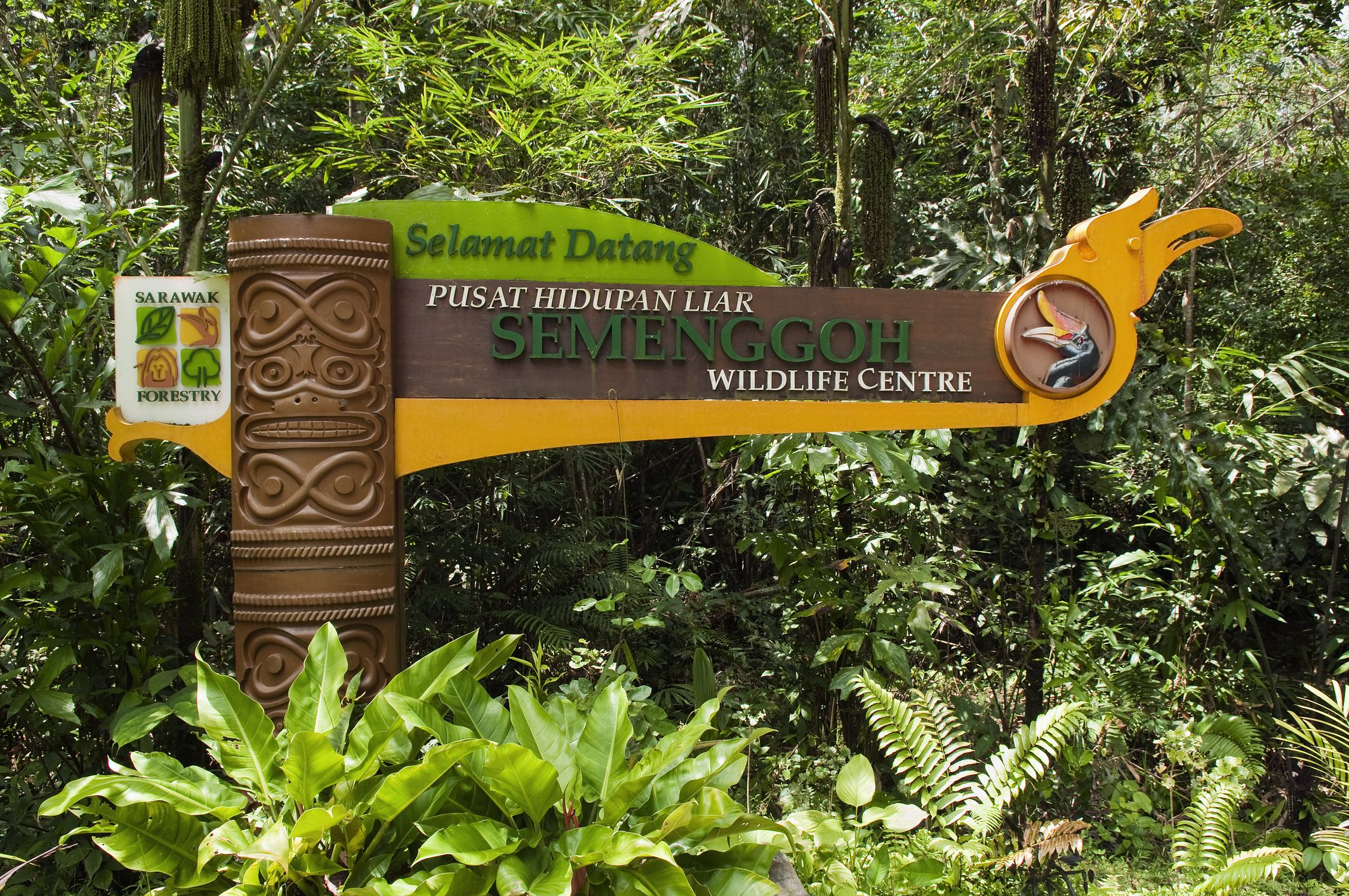 https://mdw-travel-data-us-east-1.s3.amazonaws.com/img/country/Malaysia/Semenggoh-Nature-Reserve/img_03.jpg