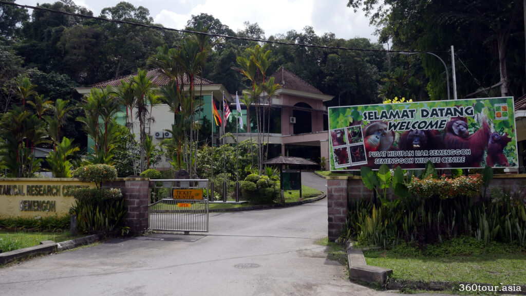 https://mdw-travel-data-us-east-1.s3.amazonaws.com/img/country/Malaysia/Semenggoh-Wildlife-Centre/img_03.jpg