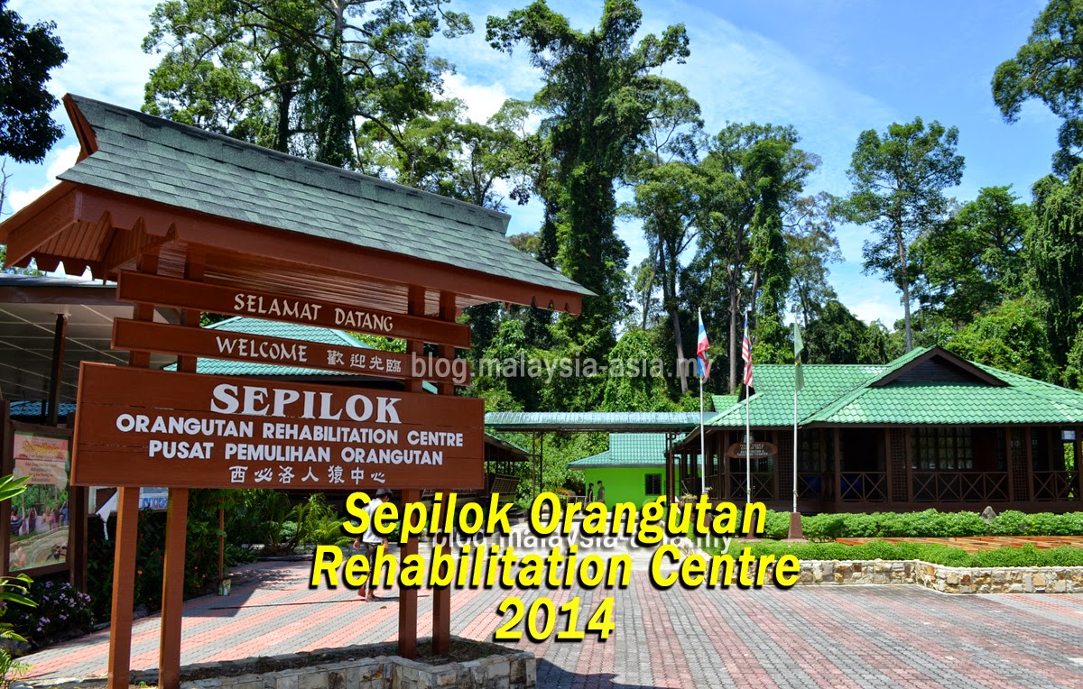 https://mdw-travel-data-us-east-1.s3.amazonaws.com/img/country/Malaysia/Sepilok-Orangutan-Rehabilitation-Centre/img_01.jpg