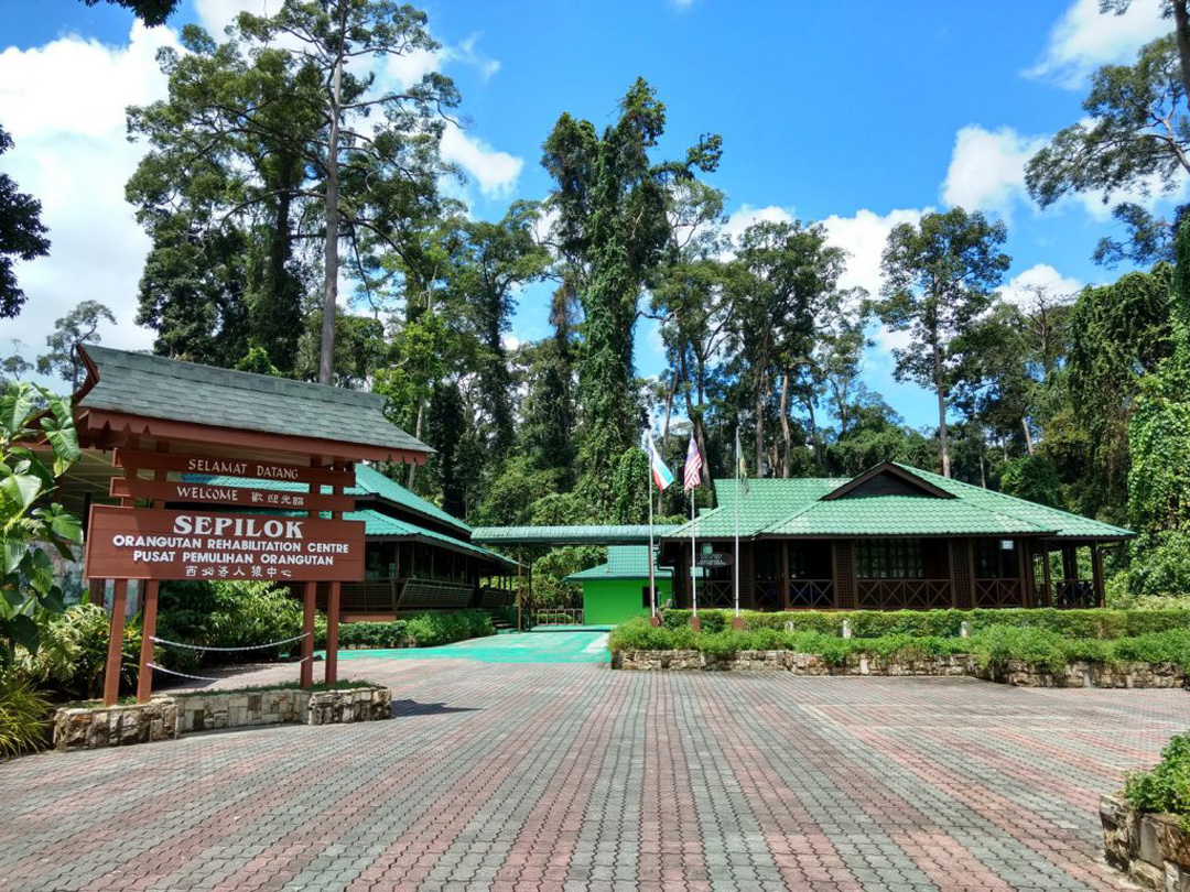https://mdw-travel-data-us-east-1.s3.amazonaws.com/img/country/Malaysia/Sepilok-Orangutan-Rehabilitation-Centre/img_03.jpg