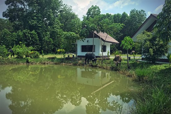 https://mdw-travel-data-us-east-1.s3.amazonaws.com/img/country/Malaysia/Seremban-Prachin-Buri-Sister-City-Park/img_02.jpg