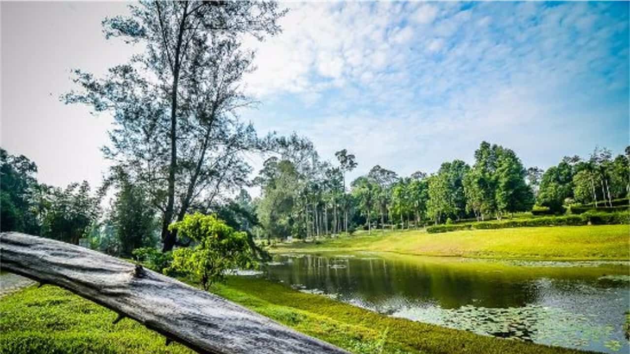 https://mdw-travel-data-us-east-1.s3.amazonaws.com/img/country/Malaysia/Shah-Alam-Lake-Gardens/img_01.jpg