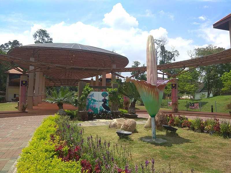 https://mdw-travel-data-us-east-1.s3.amazonaws.com/img/country/Malaysia/Shah-Alam-National-Botanical-Park/img_00.jpg