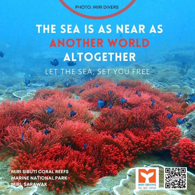 https://mdw-travel-data-us-east-1.s3.amazonaws.com/img/country/Malaysia/Sibuti-Mangrove-Eco-Tourism/img_01.jpg