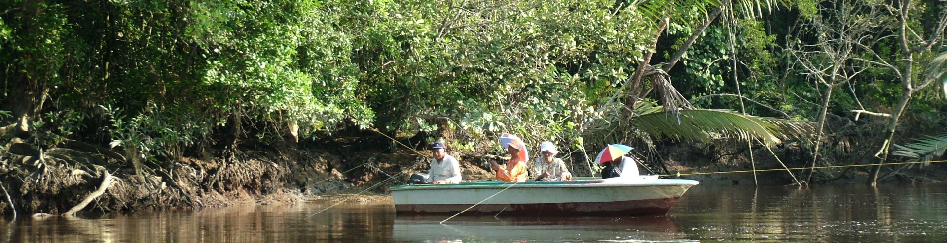 https://mdw-travel-data-us-east-1.s3.amazonaws.com/img/country/Malaysia/Sibuti-Mangrove-Eco-Tourism/img_02.jpg